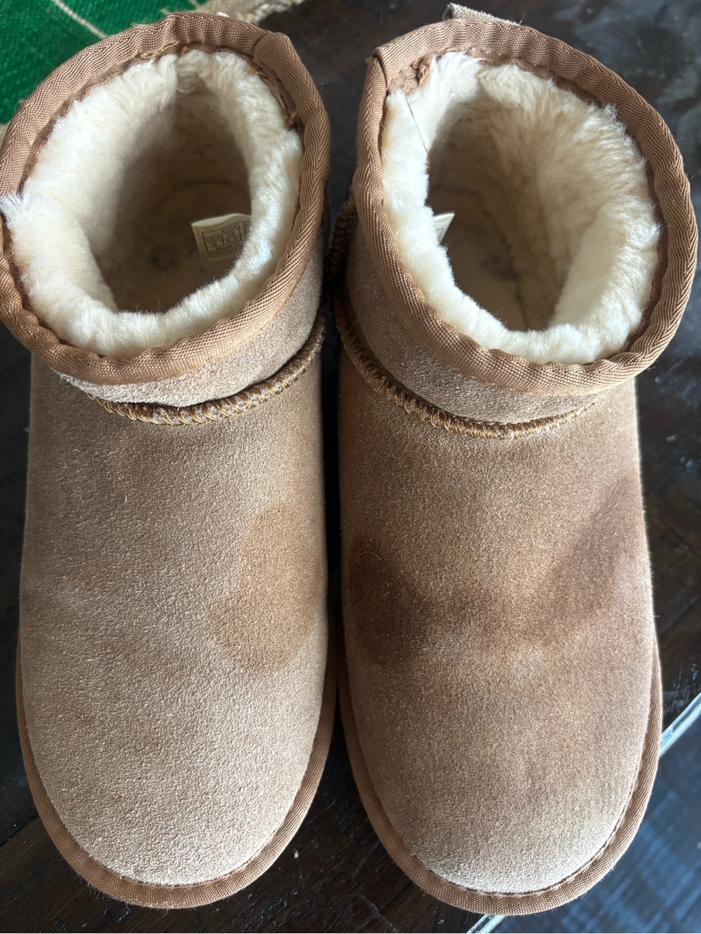 UGG Classic Mini Boots in Chestnut Brown with Cream Shearling